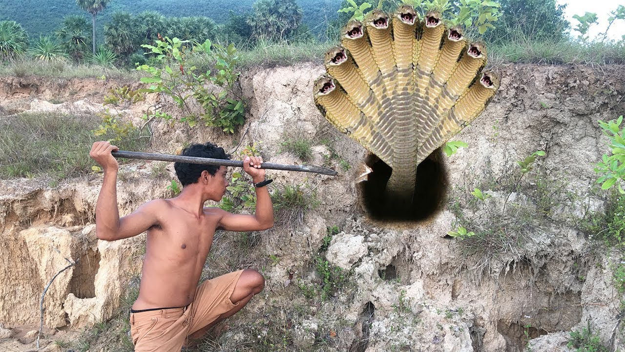 Amazing Brave Boy Catches Very Big Snake In Hole By Digging Deep Hole Snake