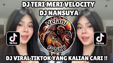 DJ TERI MERI DJ NANSUYA VELOCITY || TERI MERI X HUMAYE REMIX BY DJ NANSUYA VIRAL TIKTOK TERBARU 2025