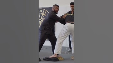 World Series of Push Hands #pushhands #taichi