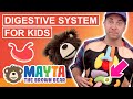 Science for Toddlers | Exploring the Digestive System for Kids