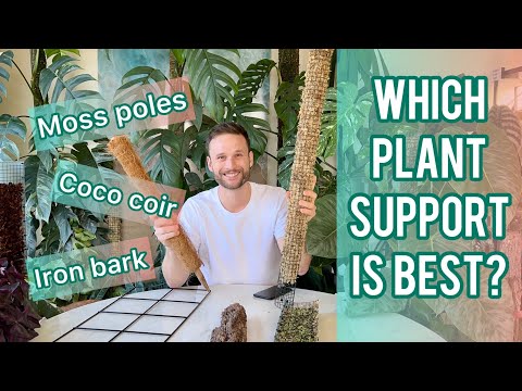 וִידֵאוֹ: שימוש בכבול קוקו לצמחים - היתרונות והחסרונות של אדמת כבול קוקו