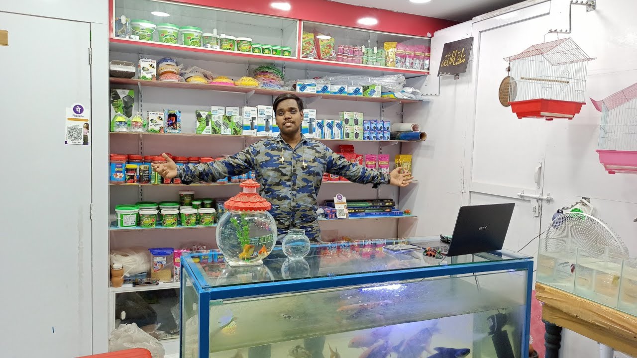Fishes Shop AR Aquarium & pets Best shop to purchase difference