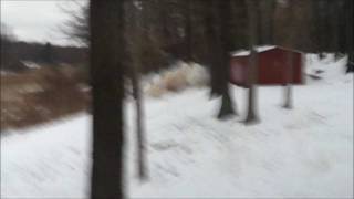 SLOW MOTION of 3 lbs of exploding targets VS 2ft diameter 40ft oak tree MASSIVE EXPLOSION