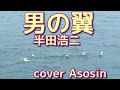 男の翼(半田浩二)/cover麻生新