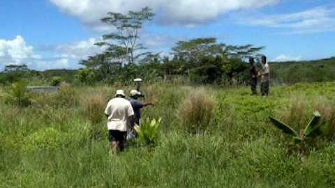 KNOWLEDGEWELL Pohnpei -  Trained Workforce on Control Point at Landfill Site