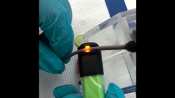 Easily find veins & arteries in lab rats and mice