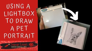 Using My Lightbox to Draw a Pet Portrait! Lightbox drawing of my French Bulldog Puppy Stella