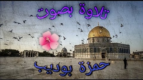 تلاوة بصوت حمزة بوديب إلى شعبنا في فلسطين 🇵🇸 ماتيسر من سورة ابراهيم ❤🌺