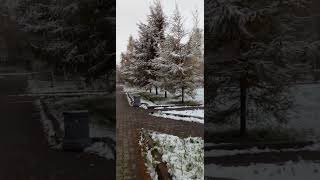 Respekt #shortvideo Nature.Природа парка.Октябрь 2025г.