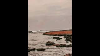 Pergi hilang dan lupakan remaber of todey (cover cindi cintya dewi)