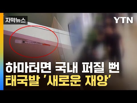 자막뉴스 출국하려다 붙잡힌 외국인들 무서운 가루 韓에 들고 왔다 YTN 