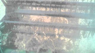 6620 Harvesting 55 bu/ac Soybeans