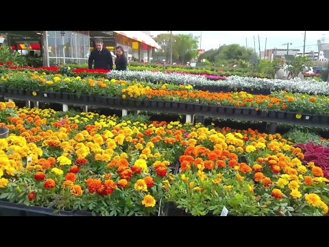 Video: Cómo Abrir Un Centro De Jardinería