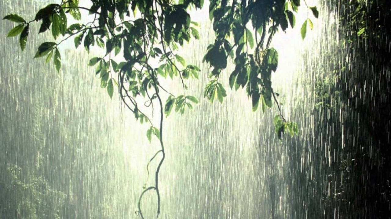 Grace Like Rain - Todd Agnew Grace Like Rain - Todd Agnew