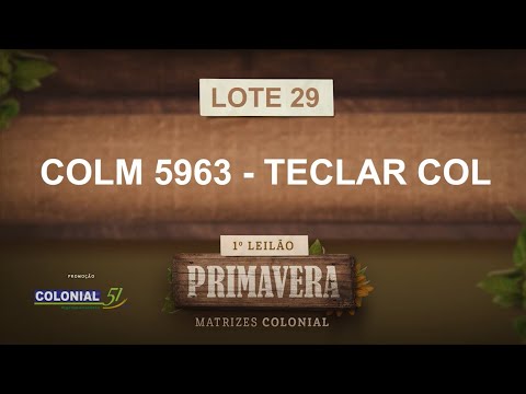 LOTE 29   COLM 5963