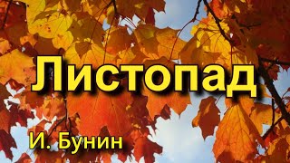 Бунин И.А. «Листопад». Стихотворение