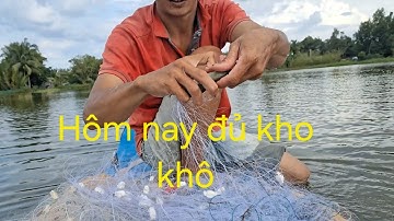 Sai lầm khi giăng miếng ruộng này (mùa nước nổi 2025)