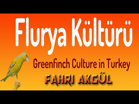 Flurya Kültürü 193 - Şevket Kokal (Arnavut Şevket) Tüm kuşçulardan son bir helallik istiyor