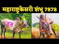 माहितीपट | हिंदकेसरी शंभु 7878  भाकरवाडी | Hindkesari shambhu 7878|Bhakarwadi