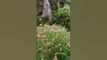 الشيخ عبد الفتاح الطاروطي... نوادر روعه اجمل ما قراء ممتاز جدا نادر #تلاوات نادره