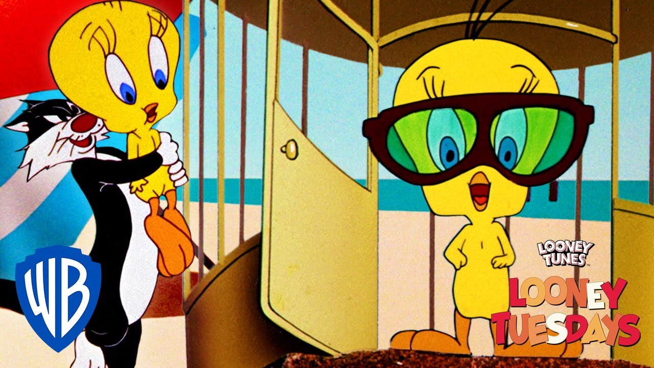 'I Tawt I Taw a Puddy Tat!' | Looney Tuesdays | WB Kids