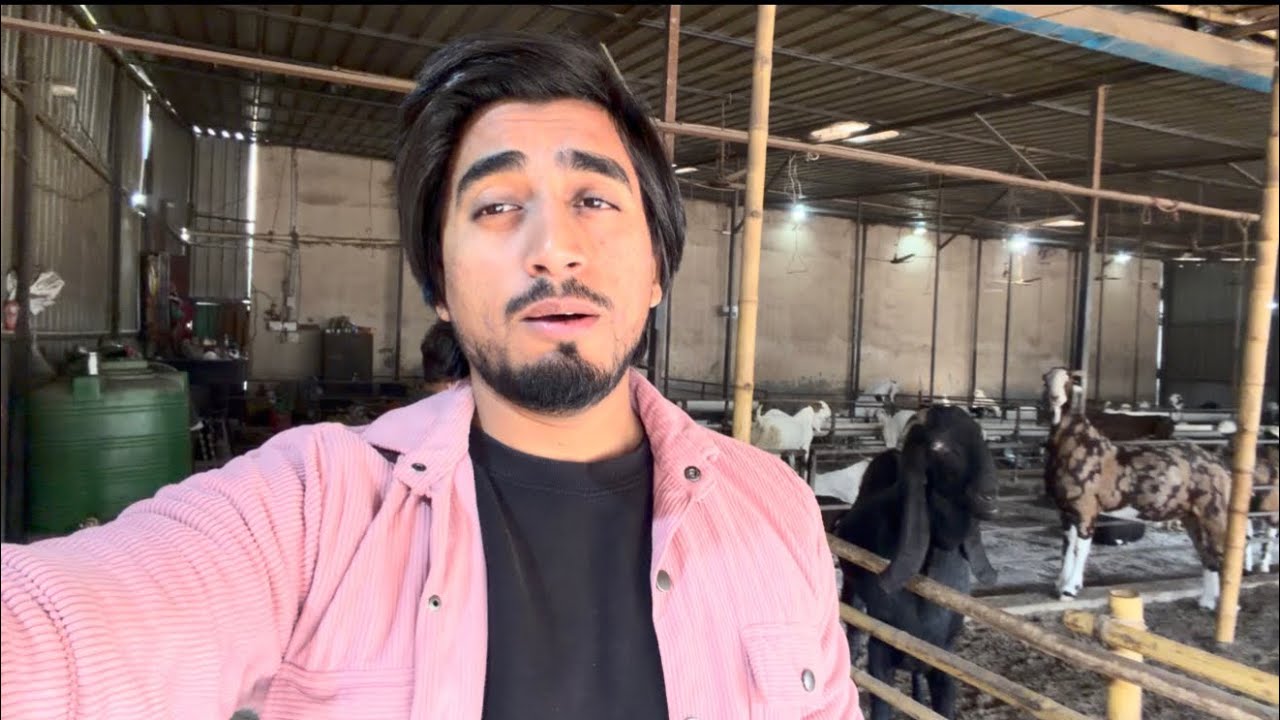 Garmi ka season ki tyyari suru||SABRIGOATFARM DAILY VLOG