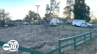 Fresno County teen admits to murdering both parents, trying to kill sister