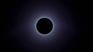 Dr. Skendy - Pervert Guitar