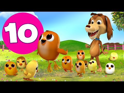 CHOCOLO COUNTS THE LITTLE CHIKIES - MY DOG CHOCOLO - NURSERY RHYMES & KIDS SONGS