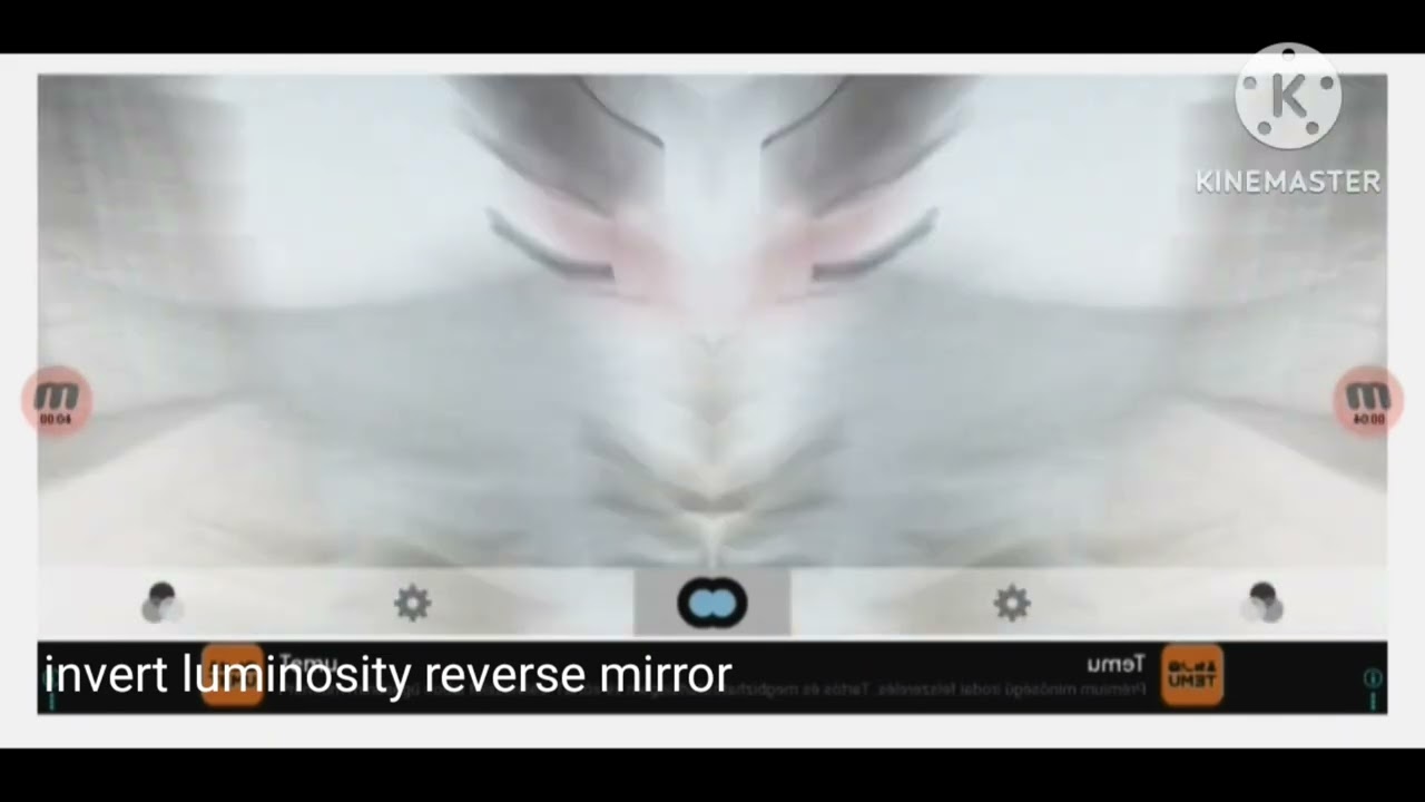 Mobzen invert luminosity reverse mirror