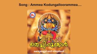 Amme kodungallooramme - Thechippookkal