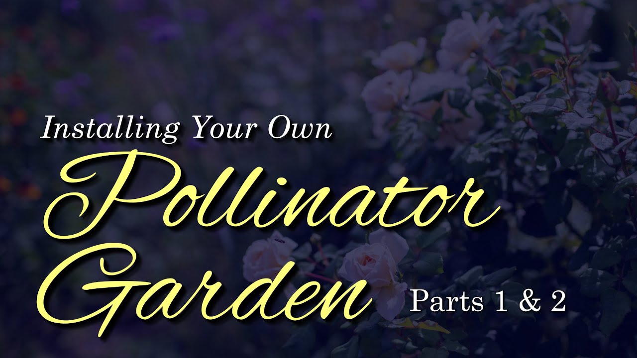 Pollinator Garden Demonstration (Full 2-Part Version)