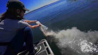 Pierce County Medical Office disperses unclaimed human ashes into Puget Sound