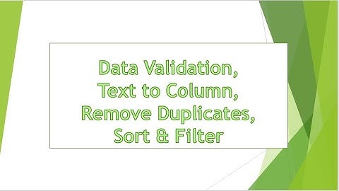 Excel Data Validation - Remove Duplicates Text to Column Sort & Filter and Data Validation