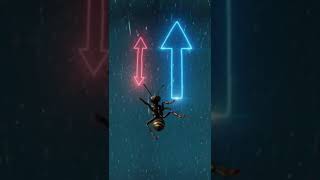 Can an Ant Survive a 1000 Foot Drop? 🤯 #sciencefacts #physics #whatif #educationalshorts #naturefact