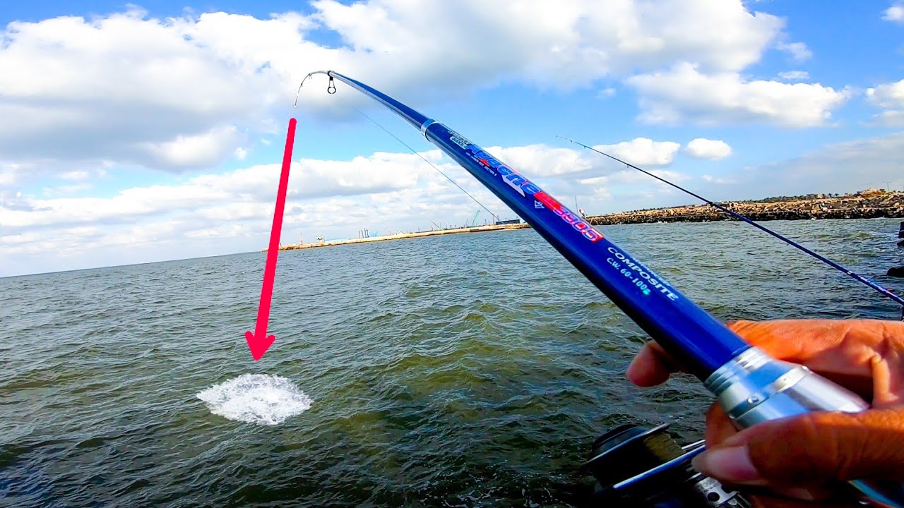 مفيش متعة بعد كدة في صيد ملكات الدنيس