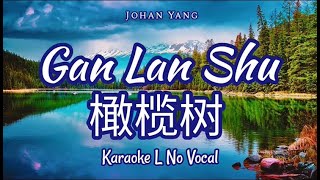 Video thumbnail of "Gan Lan Shu 橄榄树 Karaoke L / R"