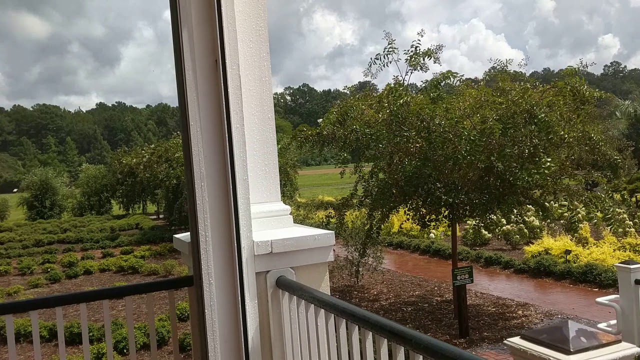 Coastal Botanical Gardens at The Historic Bamboo Farm YouTube