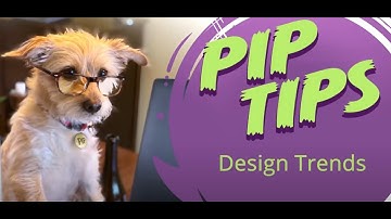 How to Build a Better Website | Pip