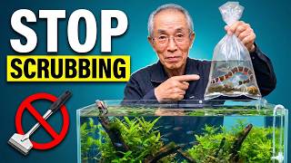 These 7 Beginner Fish Cleans Your Aquarium Forever!