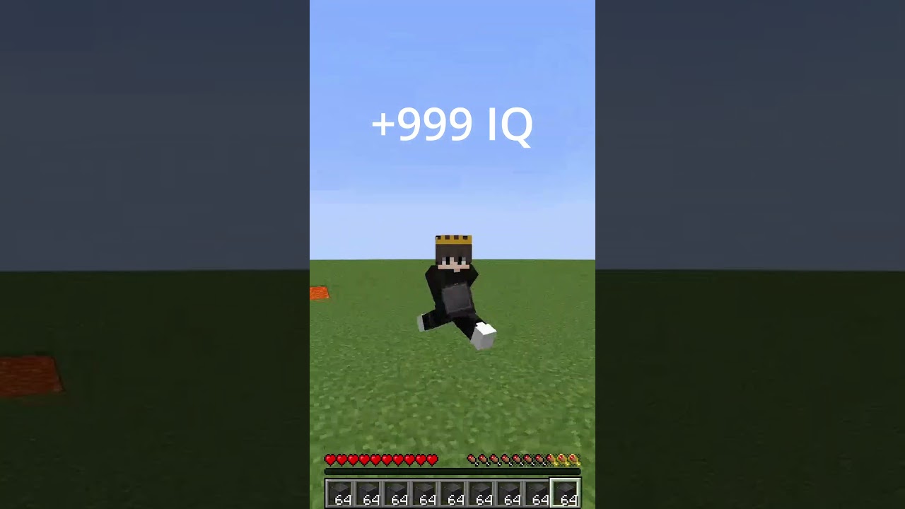 0 IQ VS 100 IQ #minecraft #gaming