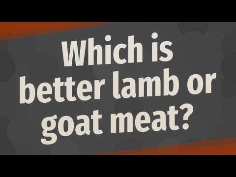 Video: Wat is lekkerder lams- of schapenvlees?