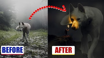 The Making of a Fantasy Photo Manipulation using Stock Images  | Photoshop 2020
