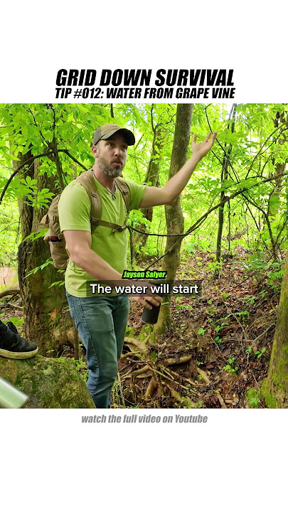 Getting Water from a Grapevine