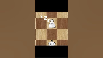 1 FAT PAWN vs 100 KINGS - Chess Memes