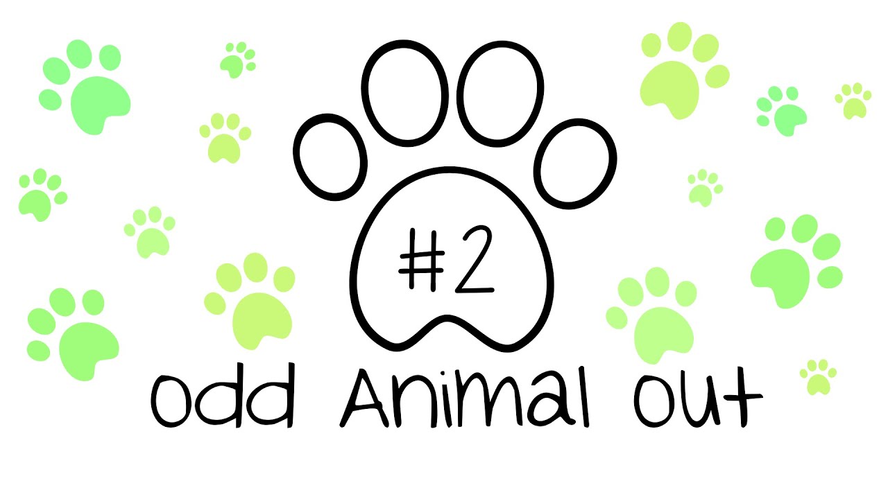 Odd Animal Out: Set 2