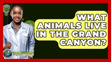 What Animals Live In The Grand Canyon? - Earth Science Answers