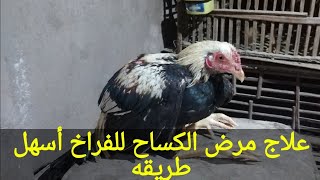 علاج الكساح للفراخ وأسباب الكساح للفراخ الهندي Treatment of rickets for chicks