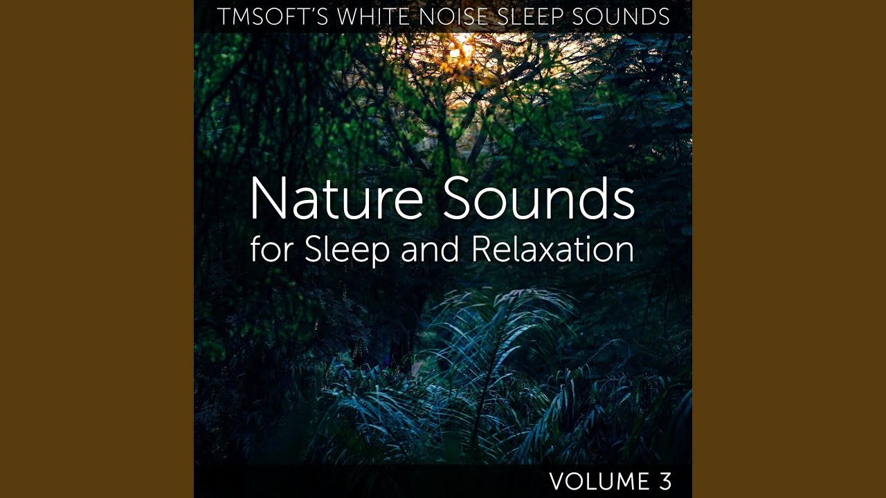 Georgia Summer Evening Crickets and Katydids - YouTube