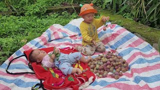 Single mother - Harvests plums to sell and cooks meals with her children. ll ly ca ca ll